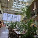 고타야 포레스트 이미지