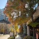 위브더스테이트5단지 | 명품코다리 신중동점, 코다리정식이 맛있는 부천맛집 신중동역맛집 추천