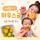 귤하우스 | 9개월 아기 귤 언제부터? 하우스귤 처음 먹여본 후기와 주의사항