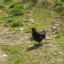 소망1농장 이미지