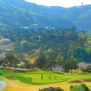 천룡CC(대중제) 이미지