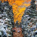 마치세월교 이미지