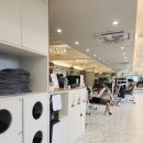 스테이헬스