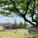2025 서산에서 일주일 살아보기 1일차 (해미읍성, 개심사, 서산한우목장, 촌식당)+스탬프투어