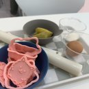 요니간식 | [일산:장항동] 일산펫푸드 원데이클래스 후기 “요니간식”