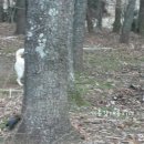 재롱이네 이미지