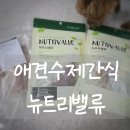 강아지 수제간식 믿고 먹일 수 있는 뉴트리밸류 구매 후기