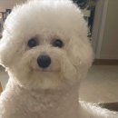 덴탈웍스 이미지