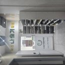 책 속 영어탐험 이미지