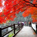 주왕산팬션민박 이미지