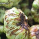 충영농장 이미지