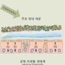 농업회사법인 주식회사 정봉벌꿀 이미지