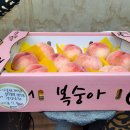 [보시 바라밀] 수희찬탄 - 2026년 8월 극락사 보시자 이미지