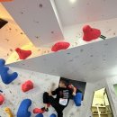 충주시 클린센터 | 2025 넝쿨클라이밍센터 스포츠클라이밍 페스티벌 후기