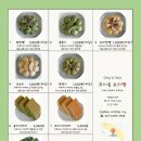 코시롱보리빵 이미지