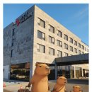 호텔더본제주 | 백종원 더본호텔 제주 디럭스 트리플룸 후기: 서귀포 핫플 호텔 완벽 가이드