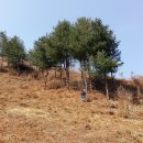 무진장농원 이미지