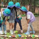 풍납어린이집 이미지