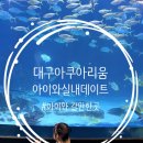 건용농장 | 대구신세계백화점 대구아쿠아리움, 아이와 여름실내데이트, 위시캣콜라보이벤트,하프연간권 후기