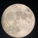 달이예쁘다