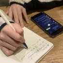 베니잉글리쉬