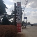 꼬꼬마식당 이미지