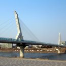 강변운동장제방 이미지