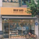 미네509