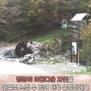 도깨비농산