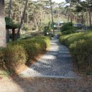 안면도자연휴양림 이미지