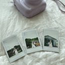 귤빛월림협동조합 | [ 제주 2일차 ] 더워도 좋아. HotSummer. :: 월림차경, 치저스, 안돌오름 비밀의숲, 구좌 솔숲펜션