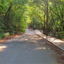 월송가든펜션1 이미지