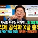 내각제 공식화 X글 충격 이미지