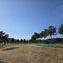 파크골프 | 대부도 파크골프 리조트 후기｜36홀 규모·이용요금·코스 길이 솔직 정리