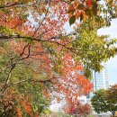 서리풀공원 이미지