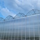 엘케이팜 이미지