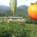 휴게부동산공인중개사사무소 이미지