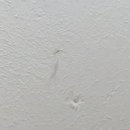 하나로카 이미지