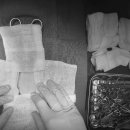 웰니스동물병원(롯데월드점) 이미지