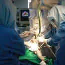 이춘택병원 이미지