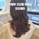 의정부고산동오드헤어 ㅣ 레이어드 펌 후기