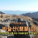 남산애 산에
