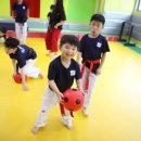 한샘태권도장 이미지