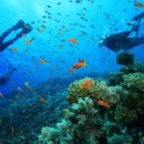 블루오션스킨스쿠버 이미지