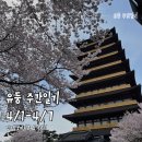 선암목욕탕 | [유둥 주간일기] 4/1-4/7 벚꽃과 달리기