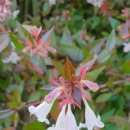 삼천포유도체육관 이미지