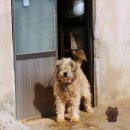 서상정류장 이미지