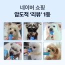 원바이굿