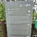 부엉이청과 | 제주여행#12 쇠소깍_국가유산 여권 스탬프 위치, 가까운 주차 팁, 즐거웠던 3인 카약 보트 탑승!!