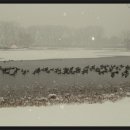 신비한 소리 오카리나 이미지